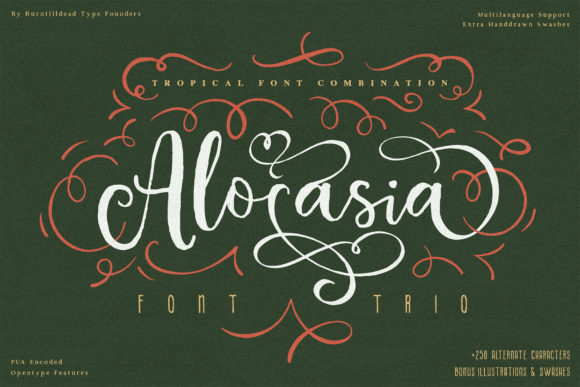 Alocasia: A Versatile Font for Digital Design