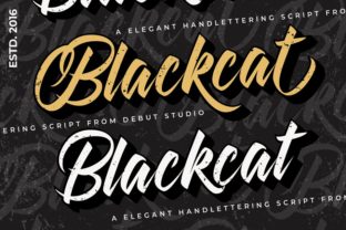 Blackcat: The Font That Gave My Bakery a Retro Revival