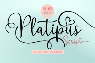Platipus: The Font That Elevates Your Brand